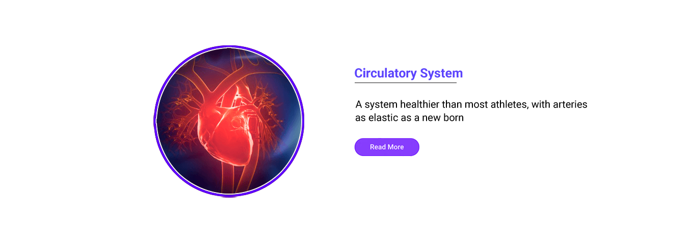 circulatory system bg trivedi physiology